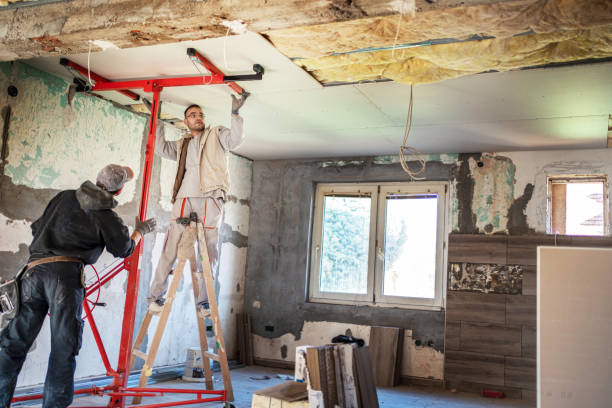 Best Insulation Maintenance and Repair in Leitchfield, KY