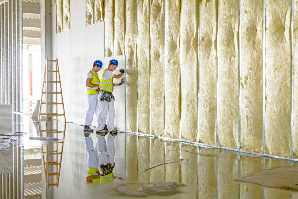 Best Residential Insulation in Leitchfield, KY